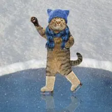 SC-035: the original Stockcat