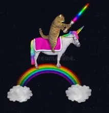SC-049: the original Stockcat