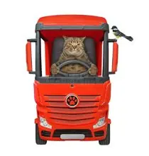 SC-052: the original Stockcat