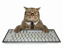 SC-054: the original Stockcat