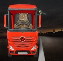 SC-083: the original Stockcat