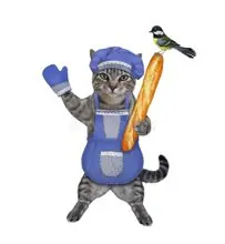 SC-116: the original Stockcat