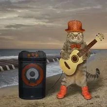SC-127: the original Stockcat