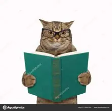 SC-136: the original Stockcat
