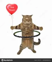 SC-139: the original Stockcat