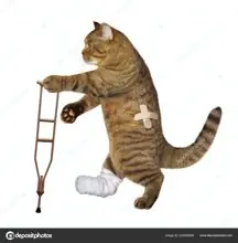SC-147: the original Stockcat
