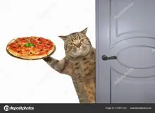 SC-160: the original Stockcat