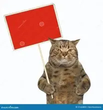 SC-244: the original Stockcat