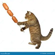 SC-256: the original Stockcat