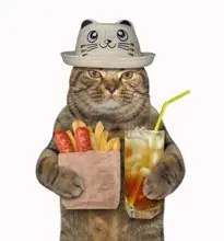 SC-257: the original Stockcat