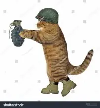 SC-266: the original Stockcat