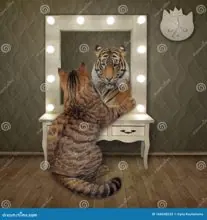 SC-279: the original Stockcat