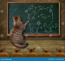 SC-290: the original Stockcat