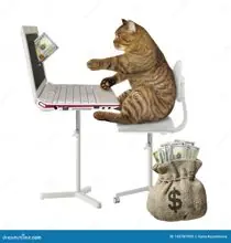 SC-292: the original Stockcat